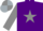 Purple, Silver Grey star and sleeves, quartered cap