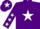 PURPLE, white star & stars on sleeves, purple cap, white star