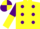 YELLOW, purple spots, purple & yellow halved sleeves, yellow & purple quartered cap