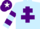 Light Blue, Purple Cross of Lorraine, hooped sleeves, Purple cap, White star