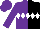 PURPLE and BLACK HALVES, White Diamond Belt