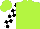 Lime Green, White Sleeves, Black Blocks, Lime Cap