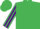 Emerald Green, Purple striped sleeves