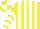 Yellow and White stripes, chevrons on sleeves, quartered cap