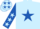 Light Blue, Royal Blue star, Royal Blue sleeves, Light Blue stars, Light Blue cap, Royal Blue stars