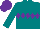 Teal, Purple Diamond Hoop, Purple Cap