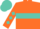 orange, turquoise hoop, turquoise diamonds on sleeves, turquoise cap