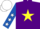 Purple, Yellow star, Royal Blue sleeves, White stars, White cap