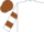 White, brown circled 'sd', brown bars on sleeves, brown cap