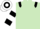 Light Green, Black epaulets, White and Black hooped sleeves and cap