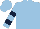 Light blue, dark blue hooped slvs, light blue cap