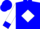 Blue, blue 'hone' on white diamond on back, blue cuffs on white sleeves