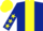 Dark blue, yellow panel, yellow stars on sleeves, yellow cap