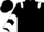 Black, White epaulets, White chevrons on sleeves, Black cap