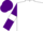 White, purple sleeves, white armlets, purple cap