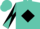 Turquoise, black diamond, turquoise and black diagonal quartered sleeves