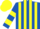 Royal Blue and Yellow stripes, hooped sleeves, Yellow cap