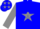 Blue, gray 'st' & star on back, blue stars on gray sleeves