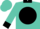 Turquoise, horse emblem on black ball & 'rev racing' on back, black cuffs & collar