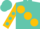 Turquoise, gold ball sash and 'z', gold sleeves, turquoise dots, turquoise cap, gold visor and 'z'