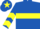 Royal blue, yellow hoop, yellow chevrons on sleeves, yellow star on cap