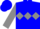 Blue, gray diamond hoop, diamond hoop on slvs
