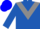 Royal blue, grey triangular panel, grey band on sleeves, blue cap