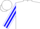 White, blue 'ned goutierrez', blue stripe on sleeves
