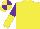 Yellow, purple and yellow halved sleeves, yellow and purple quartered cap