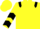 Yellow, black epaulets, chevrons on sleeves