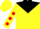 Yellow, black yoke, red dots on slvs