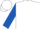 White, burnt orange peaches, royal blue sleeves