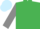 Emerald green, grey sleeves, light blue cap