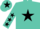 Turquoise, black star, black stars on sleeves, turquoise cap, black star