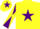Yellow, purple star, purple and yellow diabolo on sleeves, yellow cap, purple star