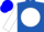 Royal blue, black wst on white ball, white sleeves, blue cap