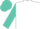 White, turquoise and orange 's', turquoise sleeves, turquoise cap