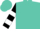 Turquoise, white circled black 'd', black and white bars on sleeves