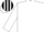 Aqua, white 'r', aqua stripes on white sleeves