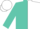 Turquoise and white halves, turquoise sleeves, white cuffs, turquoise and white cap