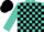 Turquoise and black check, turquoise sleeves, black cap