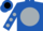 Royal blue, black 'mhf' and horse on silver ball, silver dots on sleeves