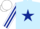 Light blue, dark blue star, white and dark blue striped sleeves, white cap