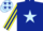 Dark blue, light blue star, yellow and dark blue striped sleeves, yellow cap, dark blue stars