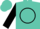 Turquoise, black 'hl' in black circle, black sleeves, turquoise bands