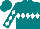 Teal, white diamond hoop, white diamonds on sleeves, teal cap
