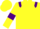 Yellow, Purple epaulets and armlets