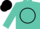 Turquoise, black circle, turquoise star, black cap