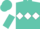 Turquoise, white diamond hoop, white and turquoise halved slvs