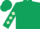 Dark green, light green diamonds on sleeves, dark green cap